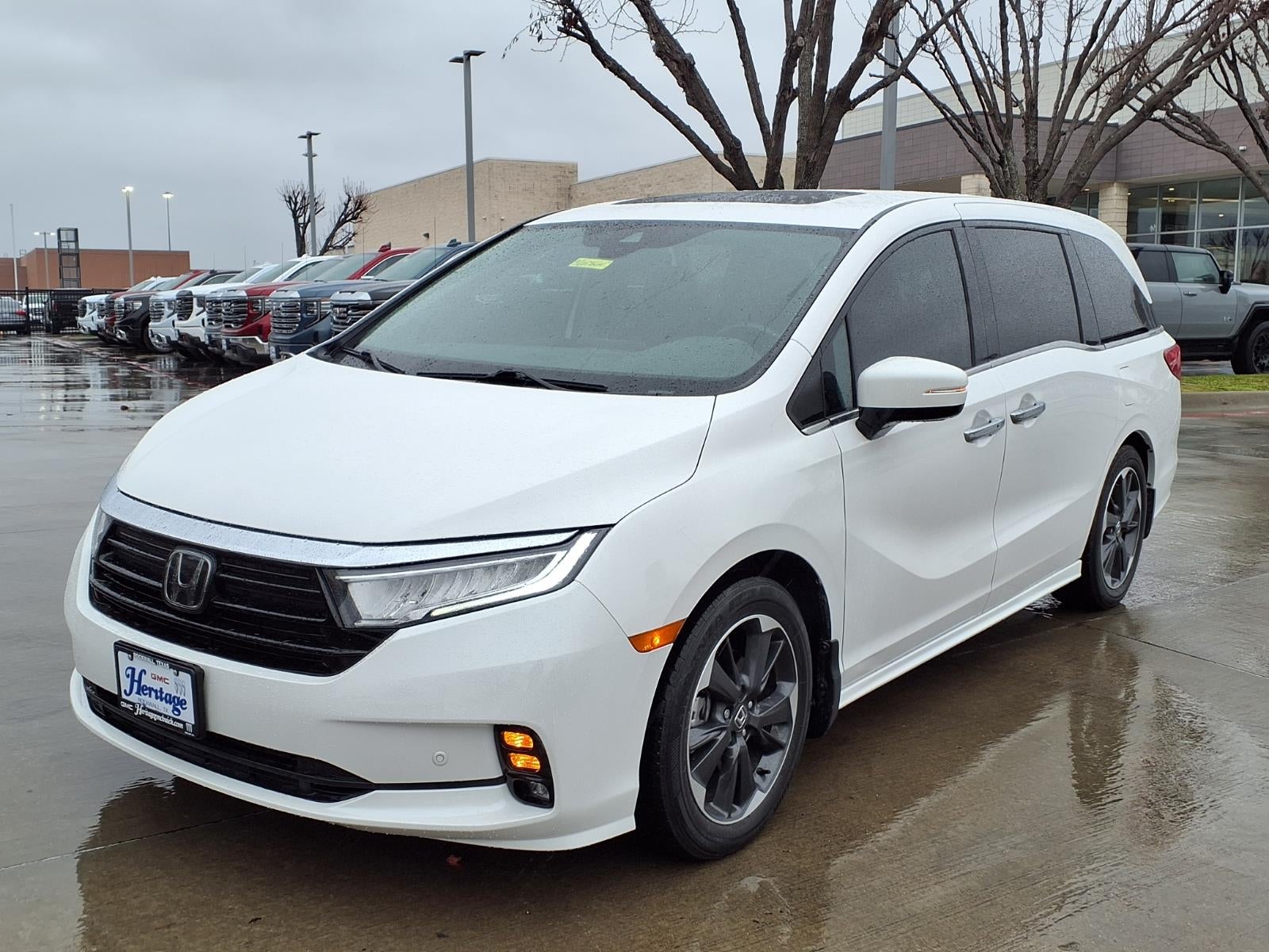 2024 Honda Odyssey Elite