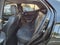 2026 Buick Encore GX Avenir SUV FWD